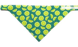 Reversible Teal Lime Polka Dot Puppy Dog Bandana Scarf, Citrus Slice White Green, Adjustable Fit, Hook Loop Snap-On, Personalized Premium 100% Cotton Fabric 2 layer Reflective, Made in USA XS S M L